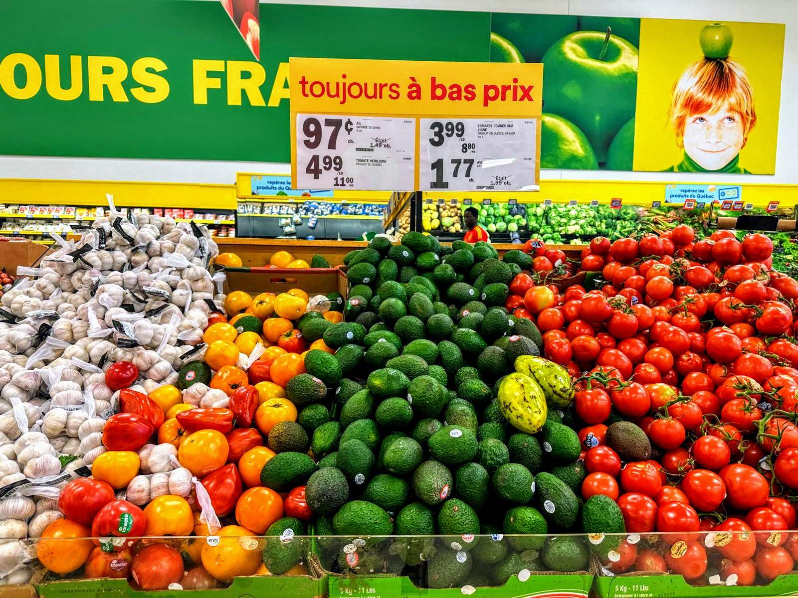 Épicerie à petit budget : Ce que 100$ peuvent acheter au Québec