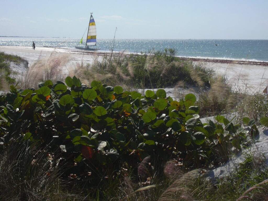 Siesta Key Beach